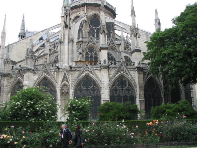 behindnotredame.jpg