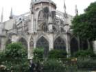 behindnotredame_small.jpg