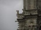 gargoyles_small.jpg