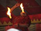 moroccanfireeater_small.jpg