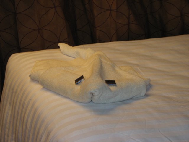 towelray.jpg