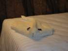 towelray_small.jpg
