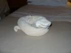 towelsnake2_small.jpg