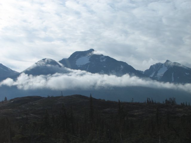 bcpeaksvegetation.jpg