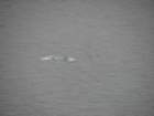 firsticeberg_small.jpg