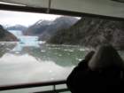 patsyglacierwatching_small.jpg