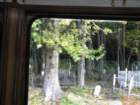 skagwaycemetary_small.jpg