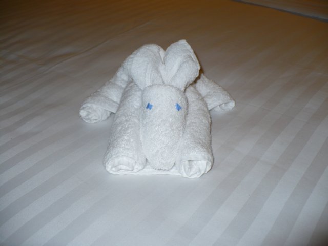 towelanimal.jpg