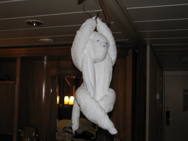 towelmonkey.jpg