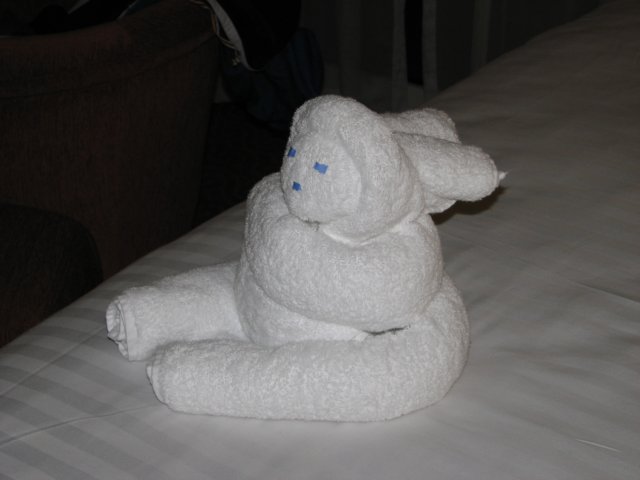 towelperson.jpg