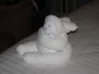 towelperson_small.jpg