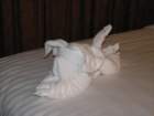 towelpuppy_small.jpg