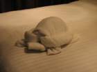 towelturtle_small.jpg