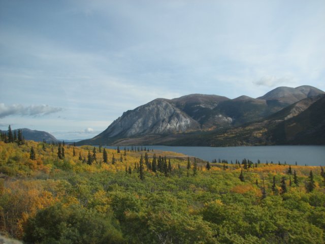 tutshilakefoliage.jpg