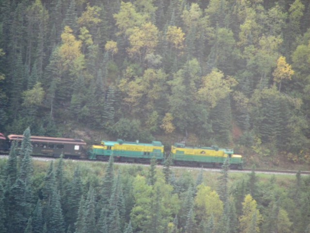 wpytrainahead.jpg