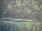 wpytrainahead_small.jpg
